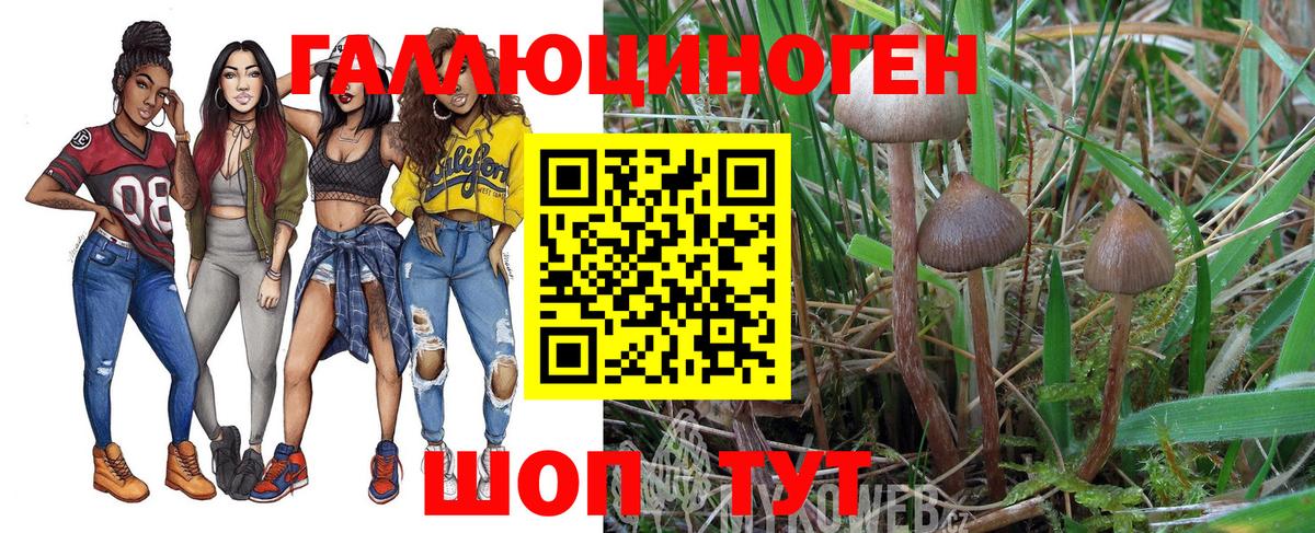 Псилоцибиновые грибы MAGIC MUSHROOMS  Вход с VPN  Верхняя Салда 