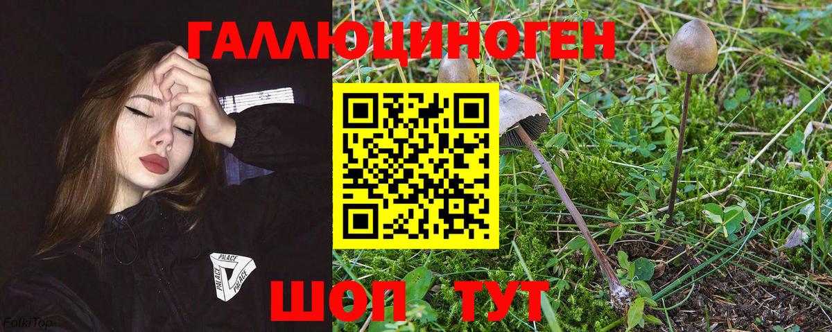 Галлюциногенные грибы прущие грибы Верхняя Салда